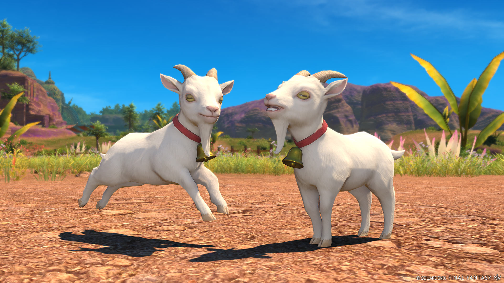 Mascottes, monture, emotes, de nouvelles images exclusives de la 7.5 de Final Fantasy XIV viennent de sortir avant le fanfest !